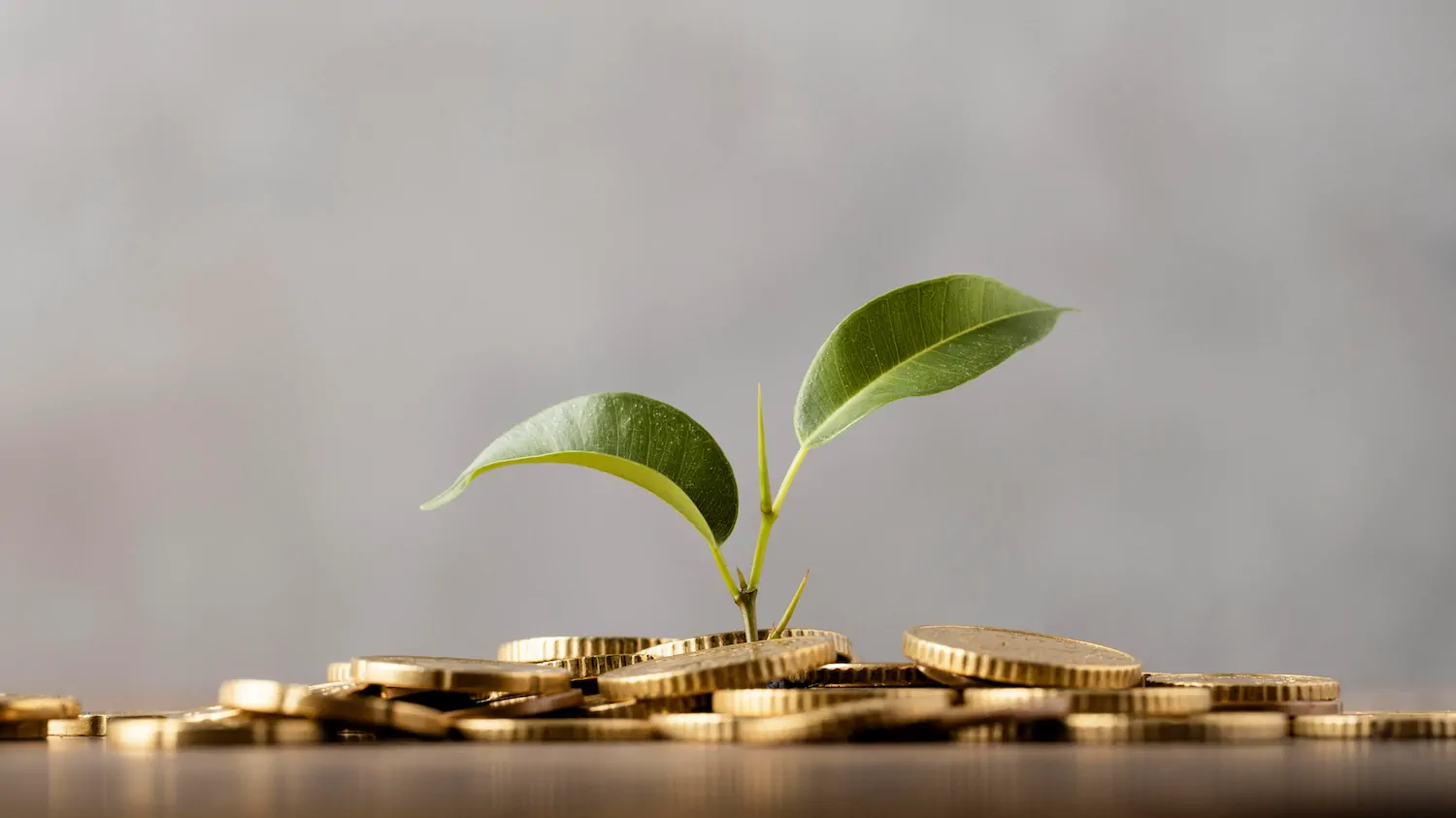 img-header-optimisation-fiscale
